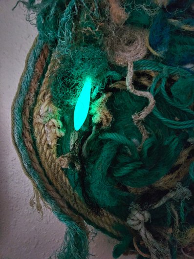Glow-in-the-dark squid lure Protea Wreath, Still Life -  artwork by Emily Miller